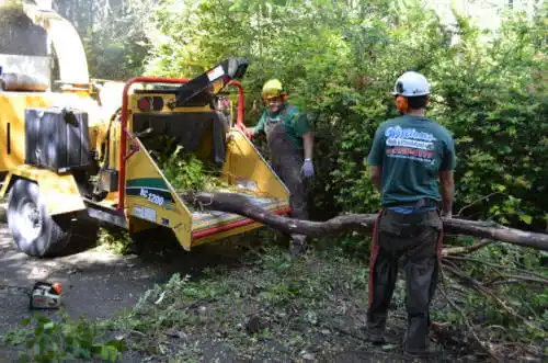 tree services Harrison